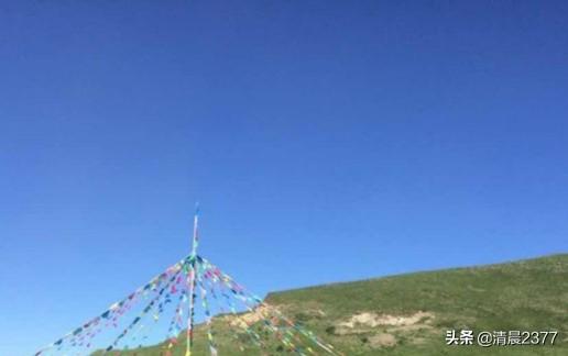 转身说爱你小说(转身说爱你小说苏小晚)