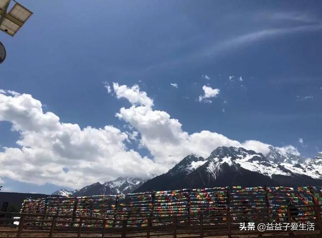 我与春风皆过客全诗（我与春风皆过客全诗解析）